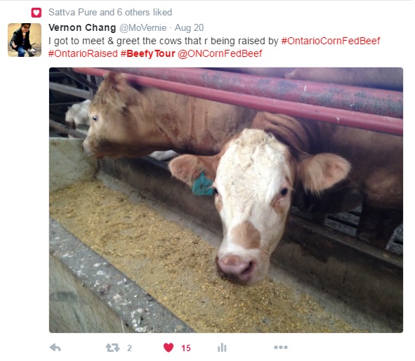 Ontario Corn Fed Beef on Social Media