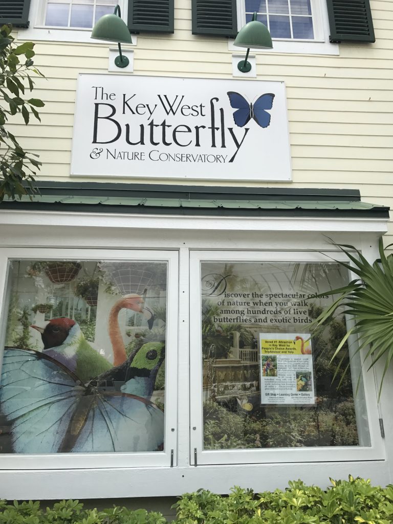 Key West Butterfly and Nature Conservatory Key West, Florida (USA