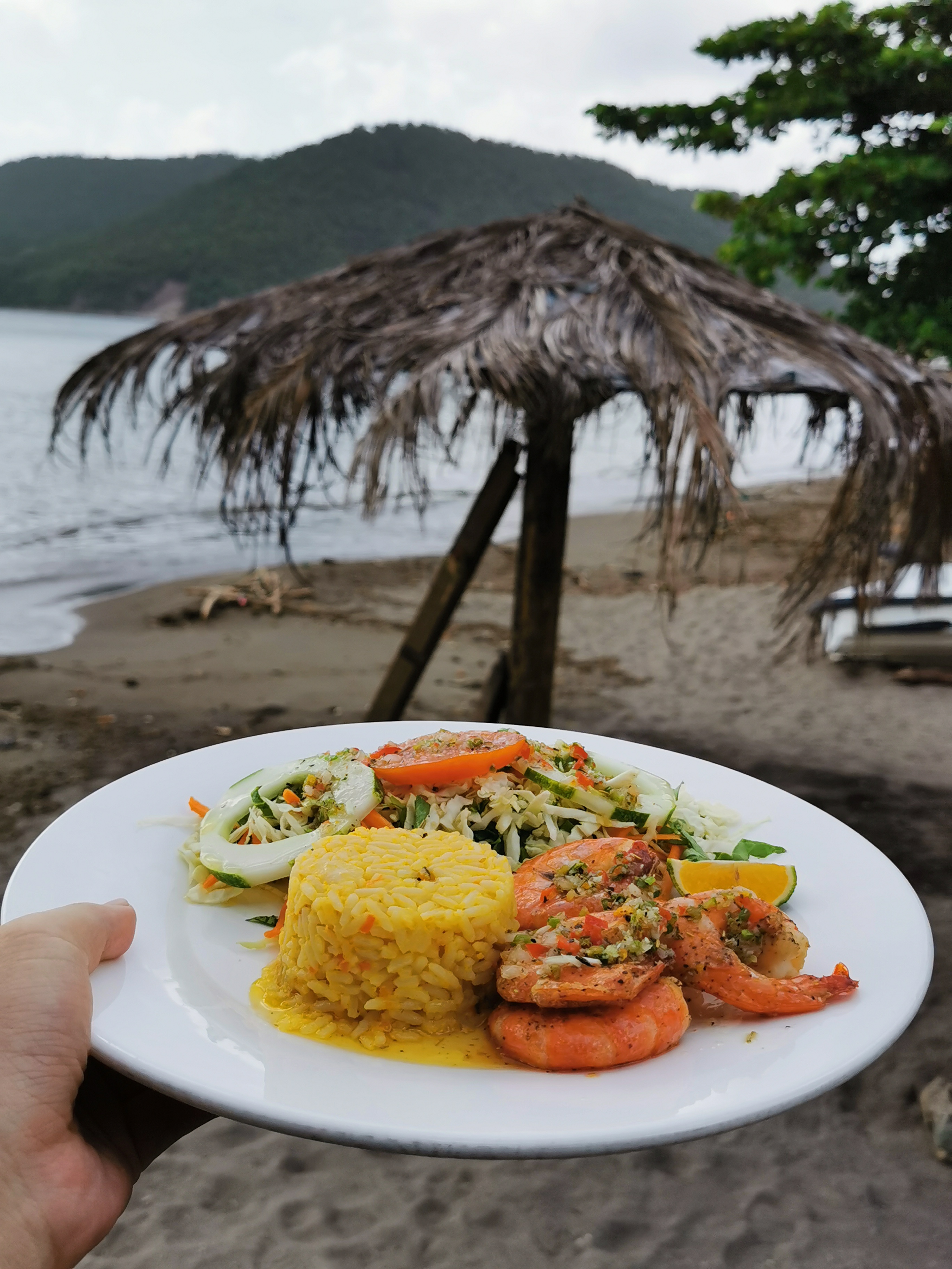 Discover Dominica Top Restaurants And Bars Nature Island Of The Caribbean Movernie On The Move