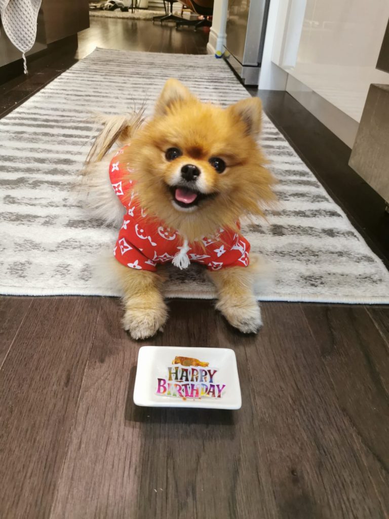 Happy Birthday to Portia! It's Her 4th Birthday! - MoVernie on the MOVE