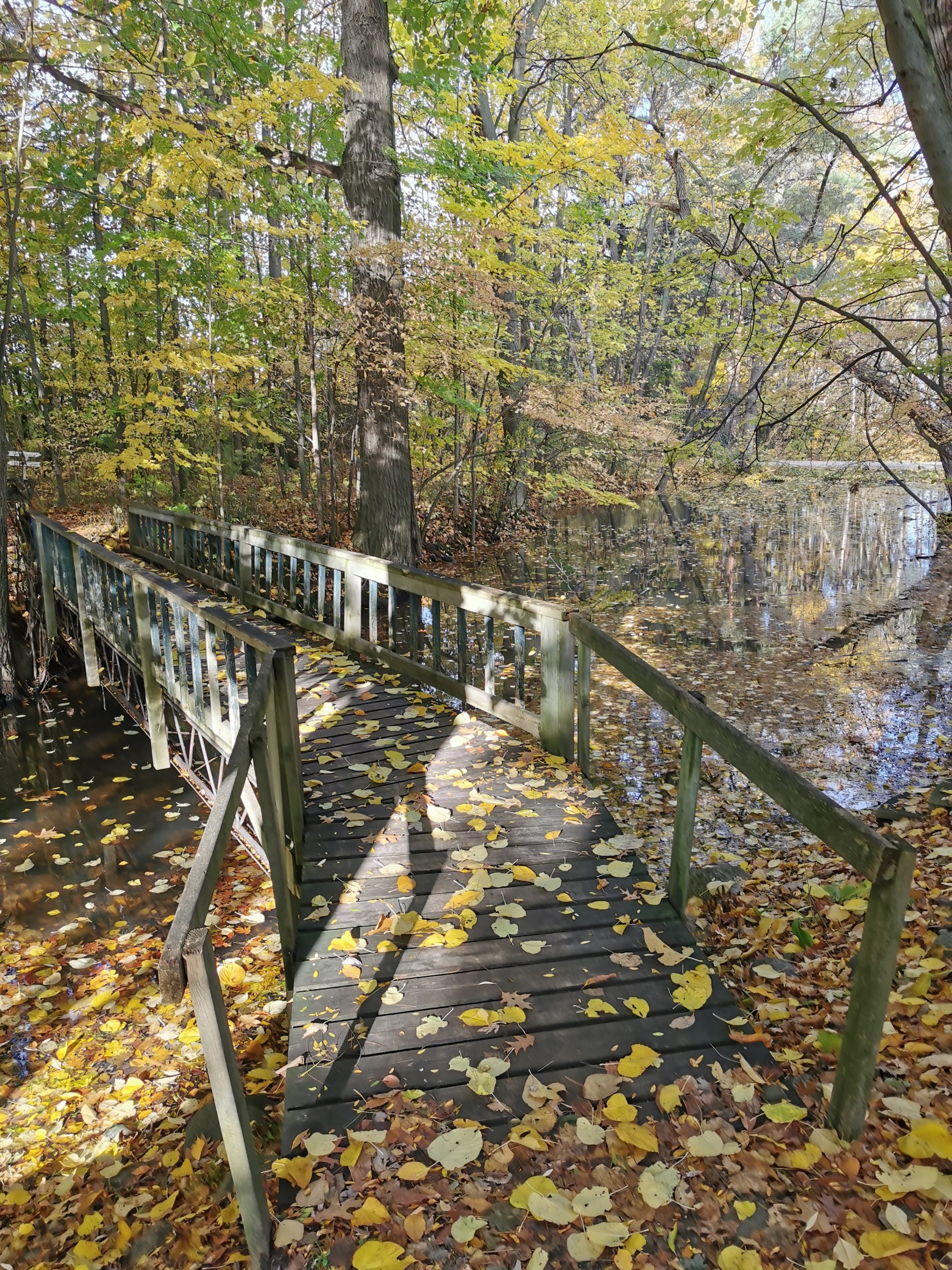 Twin Pines Orchards & Cider House Thedford, Ontario, Canada [ONTARIO