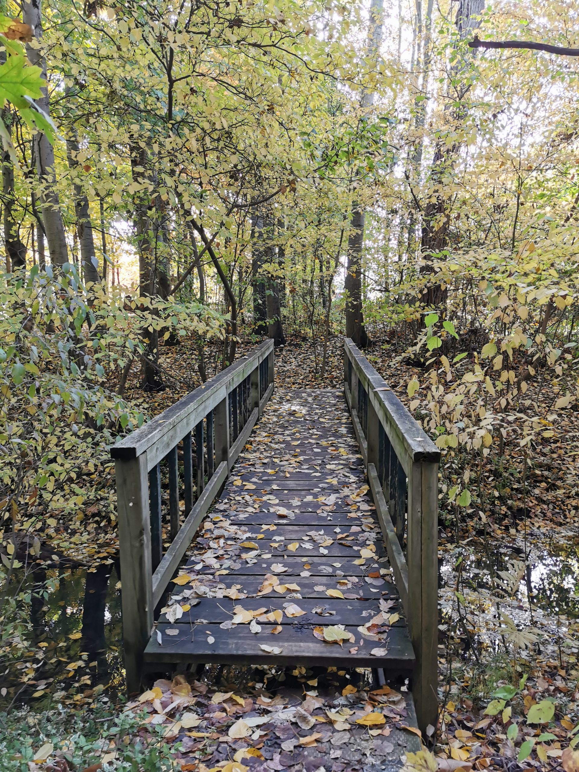 Twin Pines Orchards & Cider House Thedford, Ontario, Canada [ONTARIO