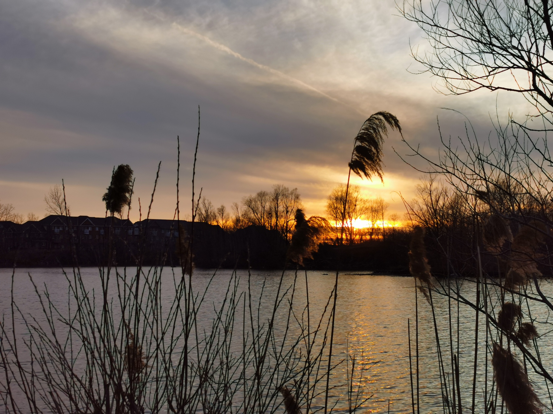 Swan Lake Park Markham, Ontario, Canada [ONTARIO TRAVEL SERIES] MoVernie on the MOVE
