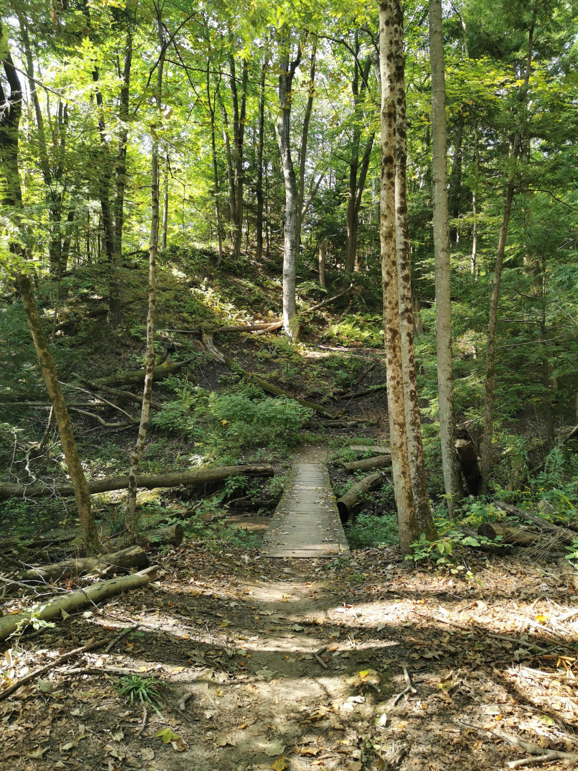 Mountain Biking Long Point Eco Adventures St. Williams, Ontario