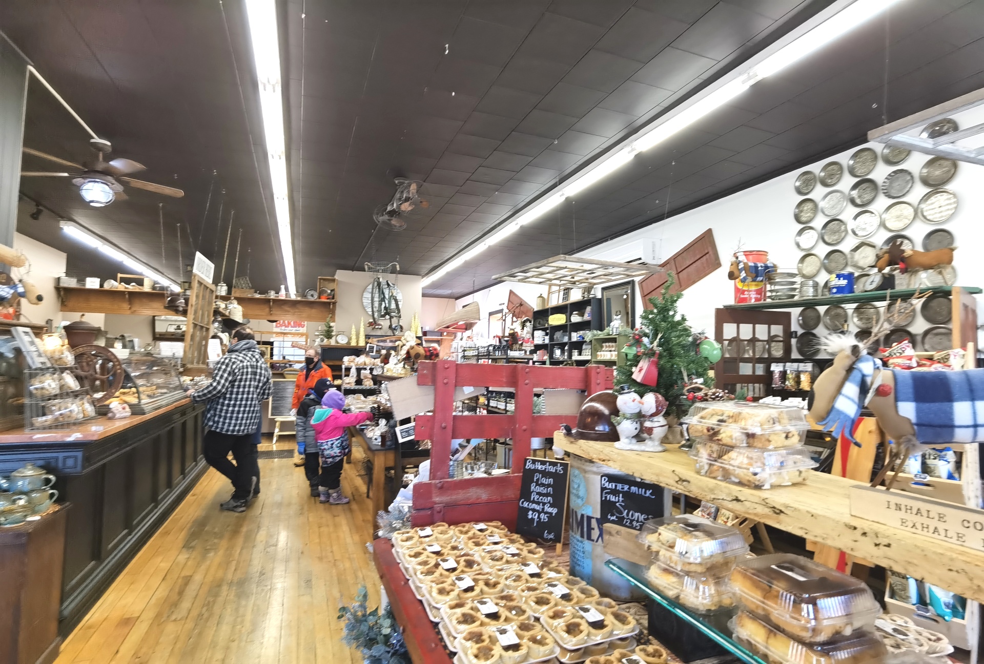 Top Things To Do in Madoc, Ontario, Canada [ONTARIO TRAVEL SERIES