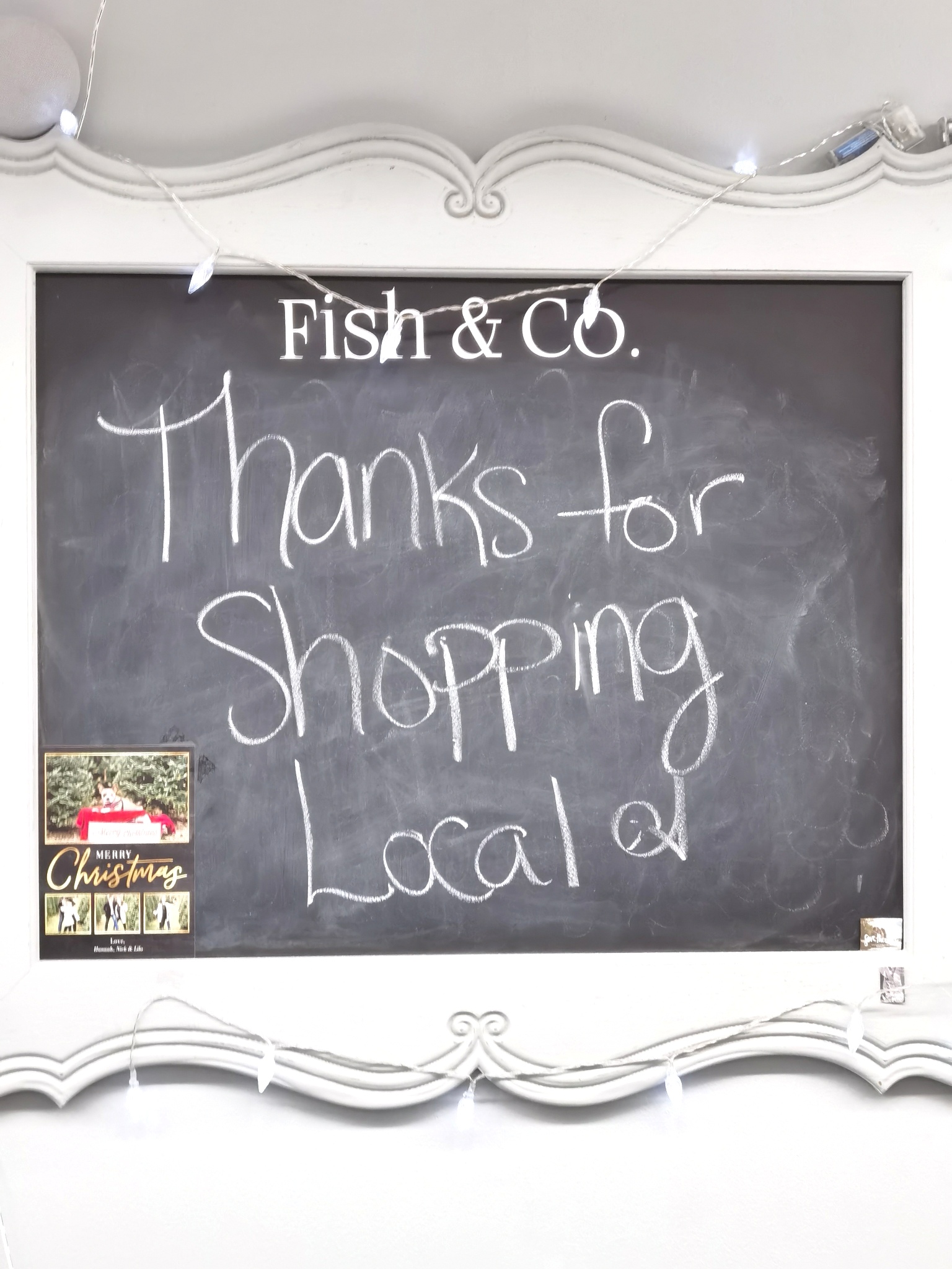 Fish & Co. Madoc, Ontario, Canada [ONTARIO TRAVEL SERIES] MoVernie