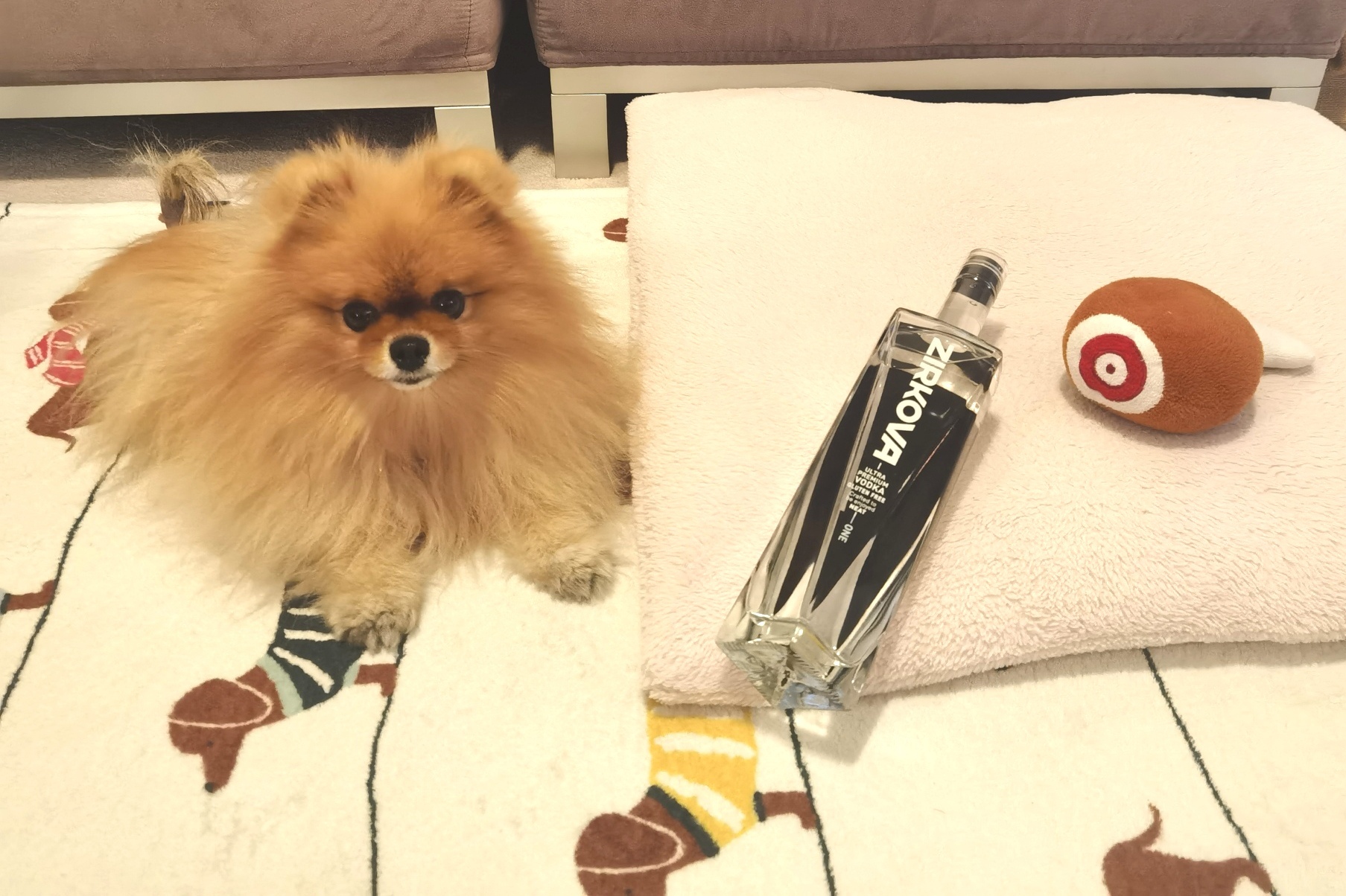 Zirkova Ultra Premium Vodka Pet LUV MoVernie on the MOVE