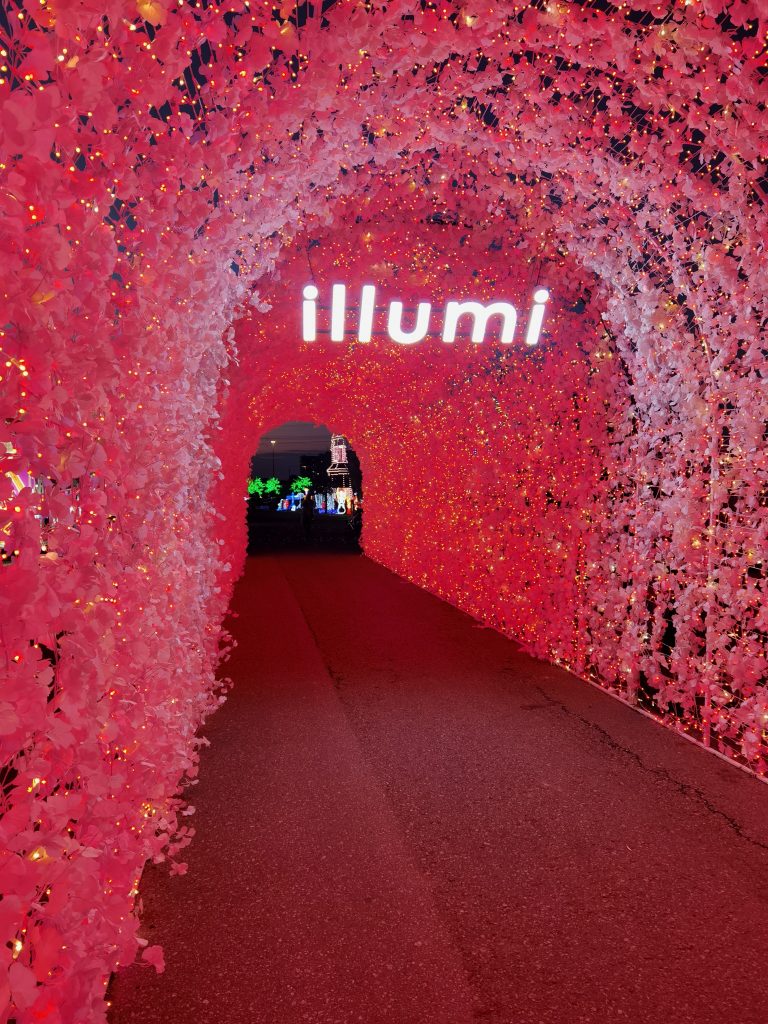 illumi Mississauga by Cavalia MultiSensory Light Show IMPRESSIVE