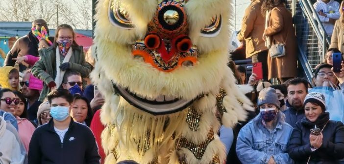 2024 Lunar New Year in Houston, Texas – Celebrating the Year of the Dragon