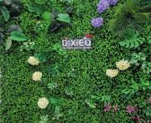 DixieQ Massage & Foot Spa (Inside Dixie Mall) – Mississauga, Ontario, Canada